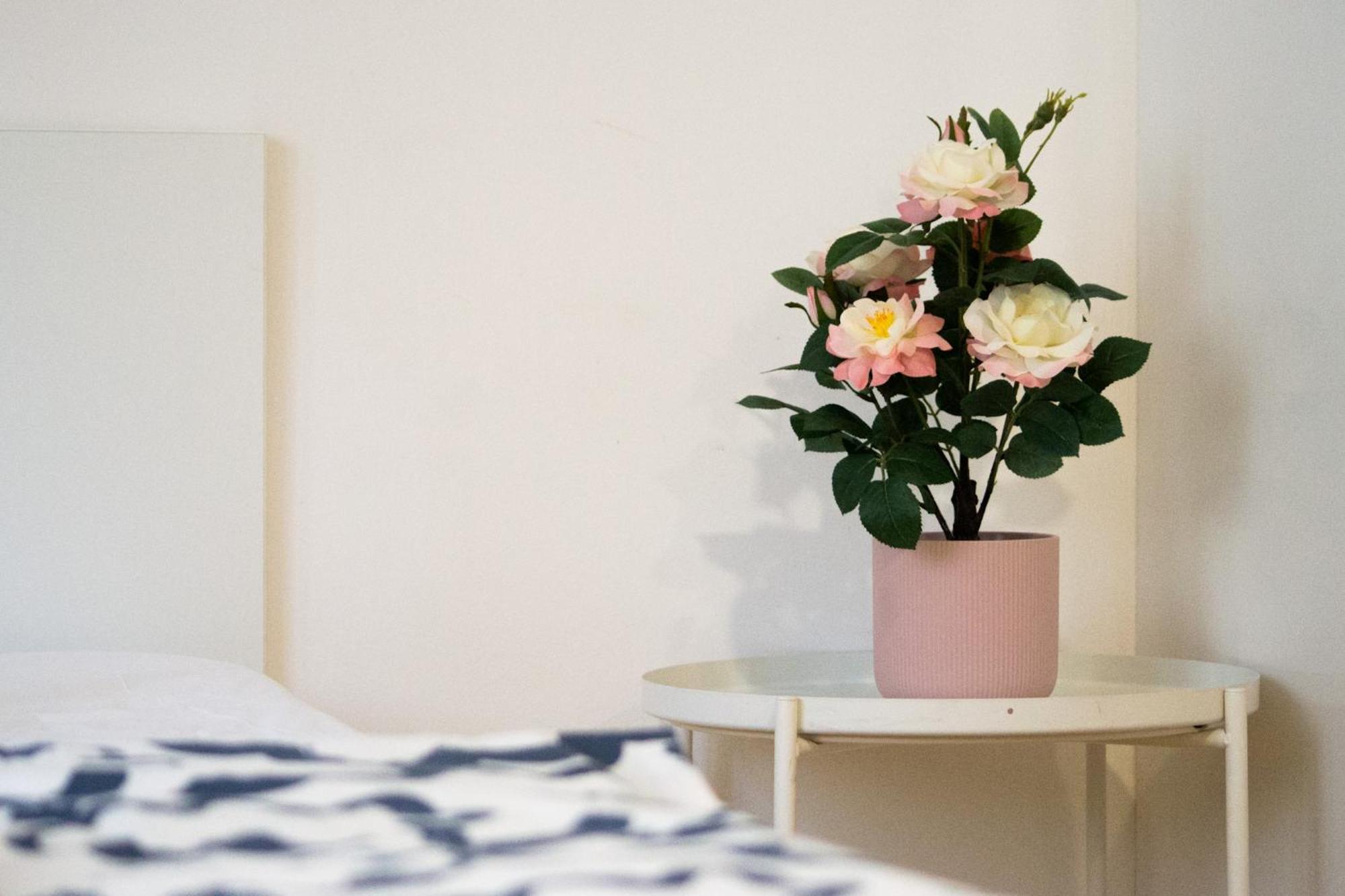 Apartman Vlna Apartment Brno Bagian luar foto